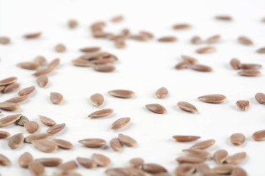 beyaz zemin üzerinde kahverengi keten tohumu