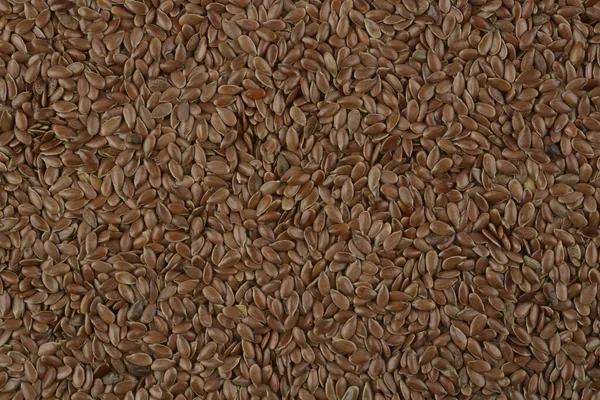 Brown linen, seeds — 스톡 사진