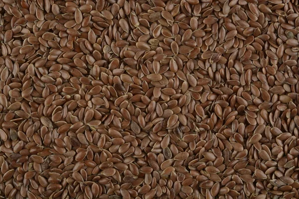 Brown flax seeds — Stock Photo, Image