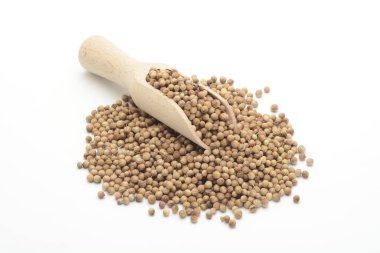 Kişniş taneleri ve beyaz arka planda ahşap bir kaşık.