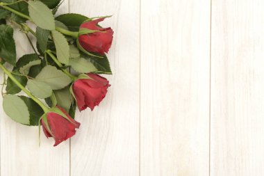 Beyaz ahşap arka planda kırmızı güller, arka plan için kompozisyon