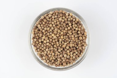 Beyaz arka planda cam bir kasede kişniş taneleri, üst manzara