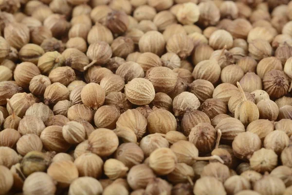 Grano Coriandolo Composizione Come Sfondo — Foto Stock