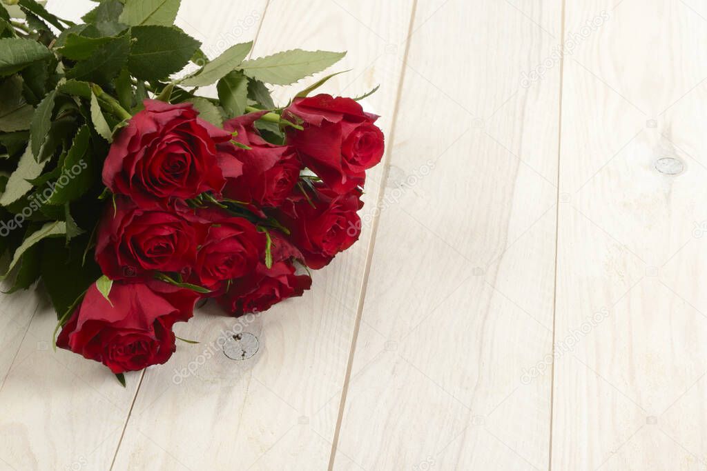 Red roses on white wooden background, macro