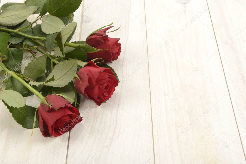 Red roses on white wooden background, macro