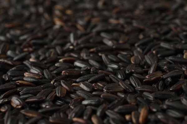 Raw black rice, macro