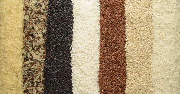 Çiğ Pirinç Yukarıdan Aşağıya Doğru Görünüyor Farklı Çeşitlerde — Stok fotoğraf