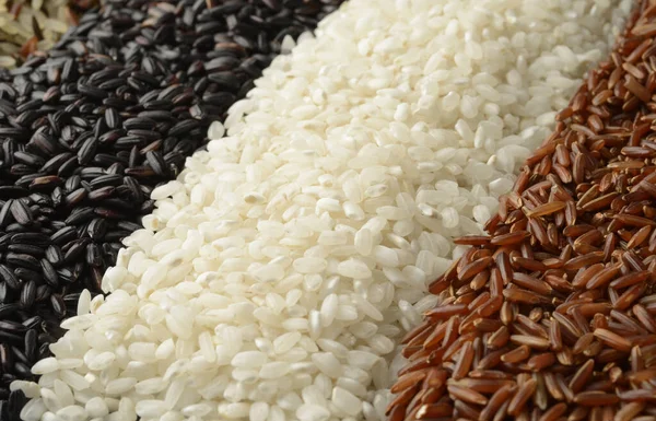 Raw rice macro picture, different varieties