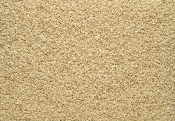 Wholegrain Raw Rice Composition Background — Stock Photo, Image