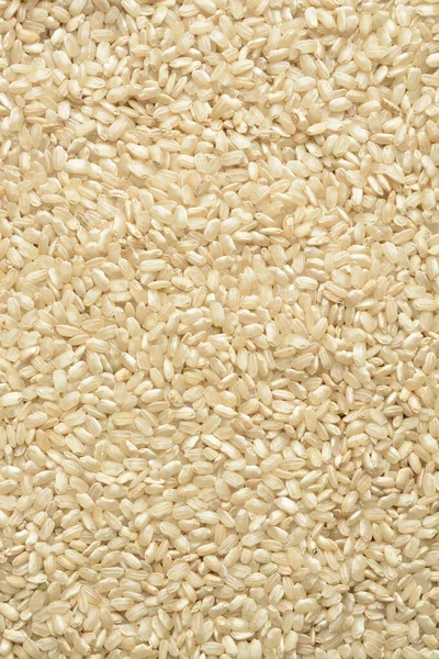 Täysjyväinen Raaka Riisi Koostumus Taustana — kuvapankkivalokuva
