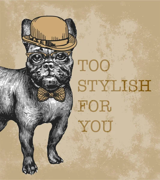 Bulldog francés dibujado a mano — Archivo Imágenes Vectoriales