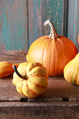 Tahta masadaki balkabakları