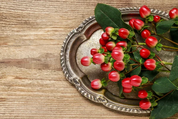 Hypericum twigs on wooden background — Stock Photo, Image