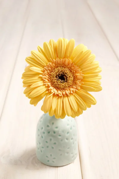 Composizione floreale con fiori di gerbera — Foto Stock