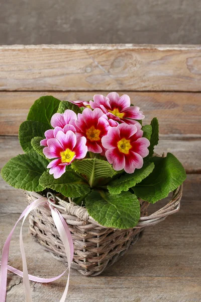 Розовые цветы в плетеной корзине — стоковое фото