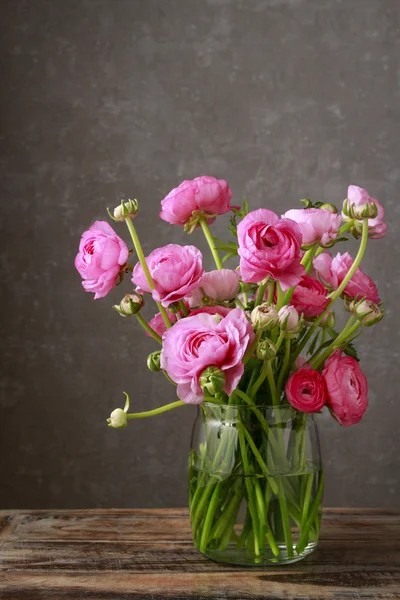 Roze Perzisch buttercup bloemen (Boterbloem) — Stockfoto