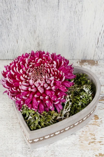 Florist bei der Arbeit: wie man einfache Blumenarrangements mit rosa machen — Stockfoto