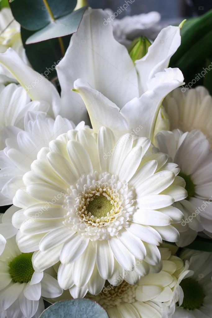 Floral fundo com gerbera branca flores, crisântemos e ...