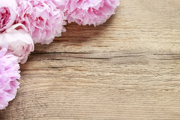 Impresionantes peonías rosadas sobre fondo de madera rústico marrón — Foto de Stock