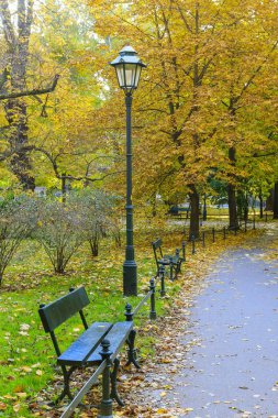 Autumn park alley