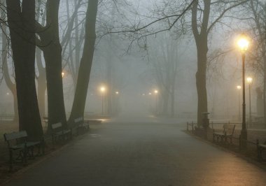 Misty evening in old park. clipart