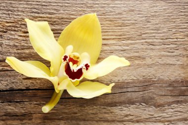 ahşap üzerine güzel sarı orkide çiçekler