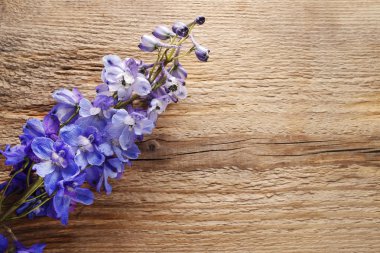 Delphinium çiçek ahşap üzerine
