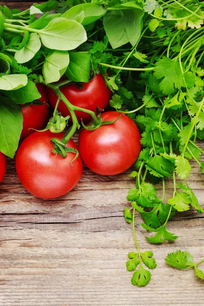 Coriandrum, mélisse, basilic et tomates rouges sur bois — Photo