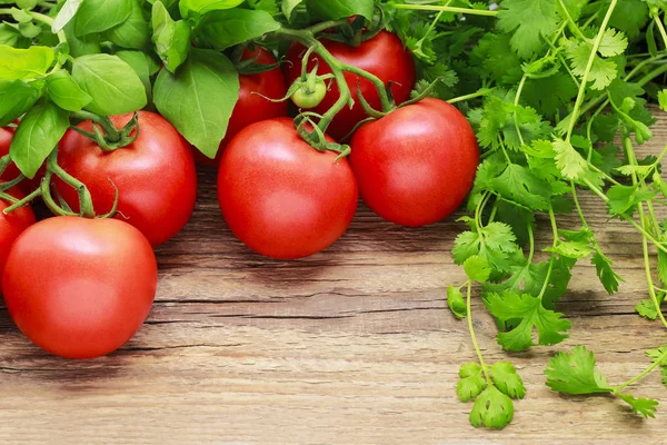 Coriandrum, mélisse, basilic et tomates rouges sur bois — Photo