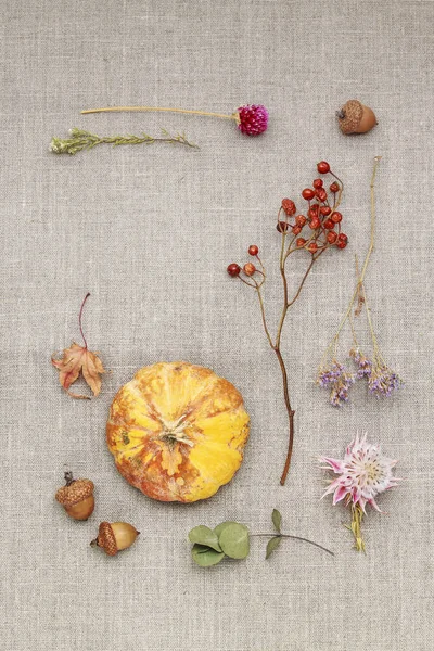 Fleurs, plantes et fruits d'automne sur fond de jute — Photo