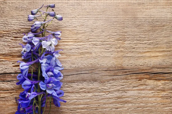 Flores de Delphinium en madera — Foto de Stock