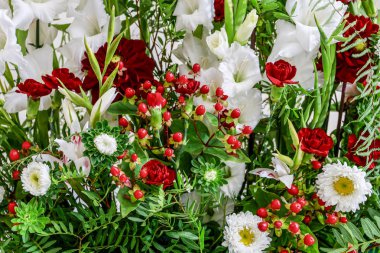 Anigozanthos (kangoroo pençe) çiçek, mutlu çiçek aranjmanı