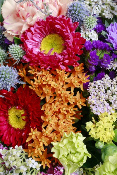 Fondo floreale con fiori di crisantemo e ramoscelli di achillea . — Foto Stock