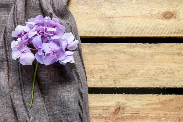 Hortensia květina na dřevo — Stock fotografie