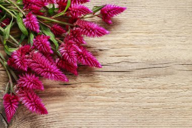 Ahşap arka plan üzerinde pembe celosia