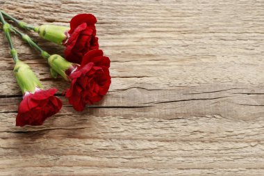 Ahşap arka plan üzerinde kırmızı karanfiller