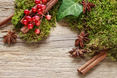 Tarçın ve ahşap üzerine yosun