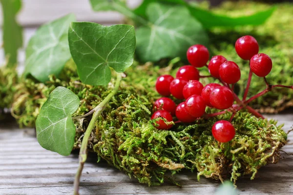 Viburnum berries, ivy leaf and moss. Autumn decoration idea. — Stock Photo, Image