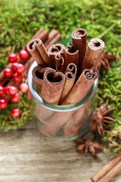 Cinnamon sticks and moss — Stock Photo, Image