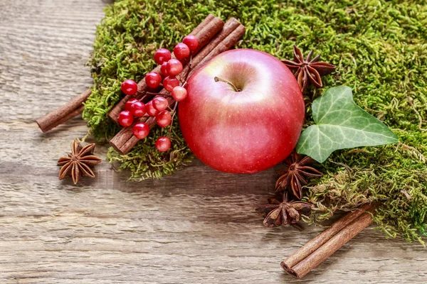 Geleneksel Noel dekorasyonu ile kırmızı elma, tarçın sopa