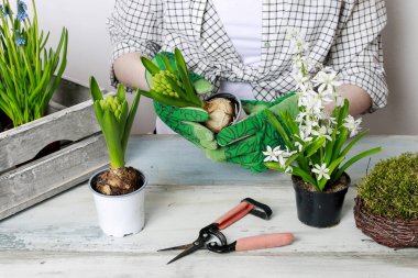Bahar çiçekleri ile çalışan kadın