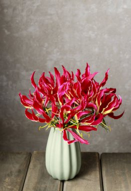 Gloriosa superba çiçek
