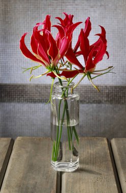 Gloriosa superba çiçek