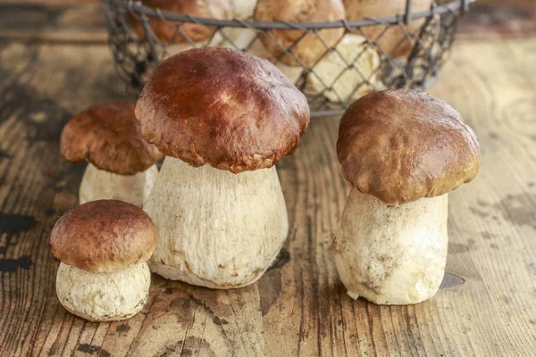 Cogumelos em uma mesa de madeira — Fotografia de Stock