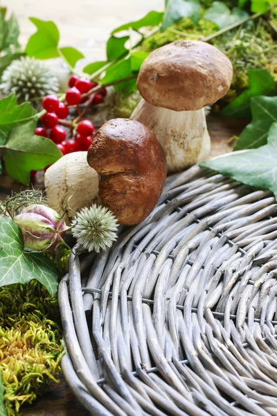 Podzimní dekorace s houbami a sušenými rostlinami — Stock fotografie