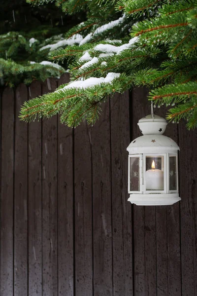 White lantern hanging on a fir branch