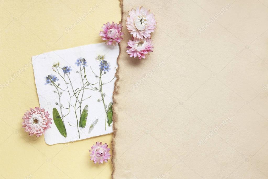 Dried pressed flowers on vintage paper background
