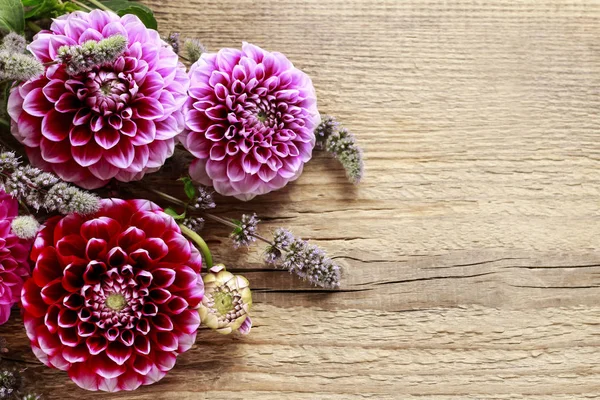 Ντάλια λουλούδια σε φόντο ξύλινη — Φωτογραφία Αρχείου