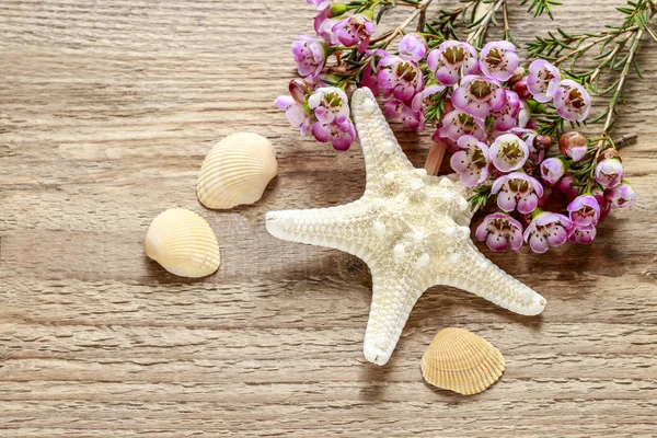 Pink chamelaucium (wax flower) and starfish on wooden background — Stock Photo, Image