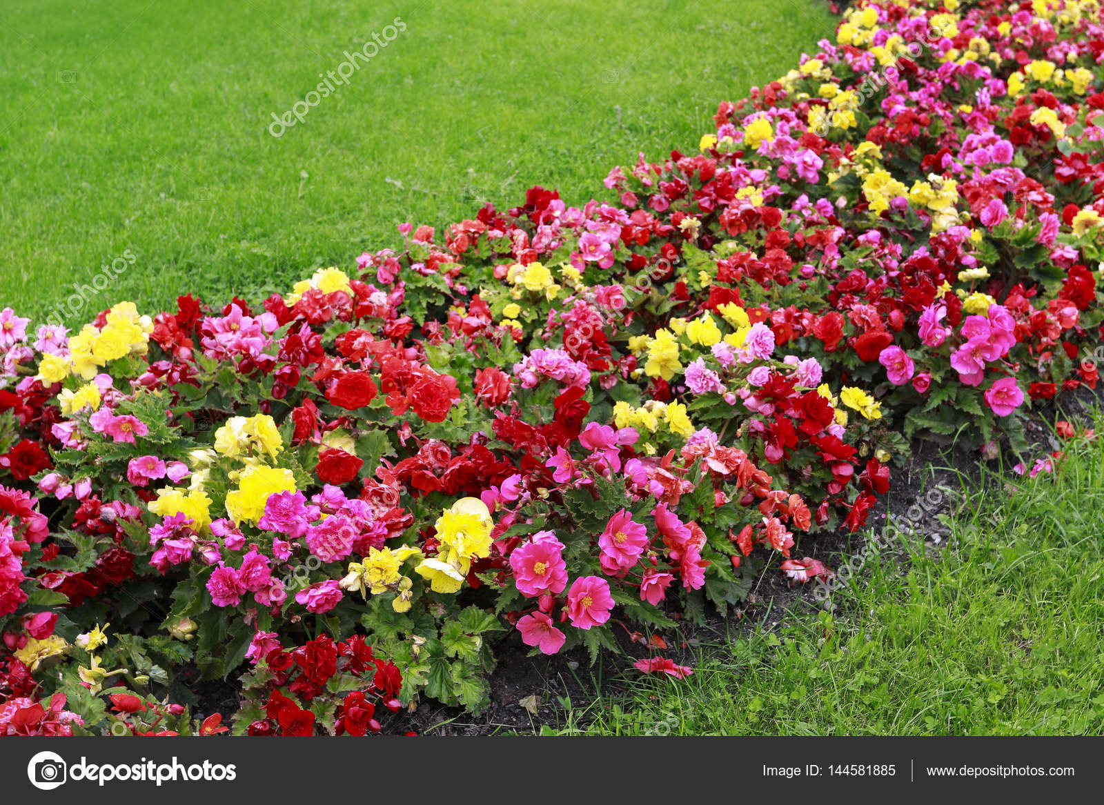 赤 ピンクと黄色の混合された花の花壇 ストック写真 C Agneskantaruk